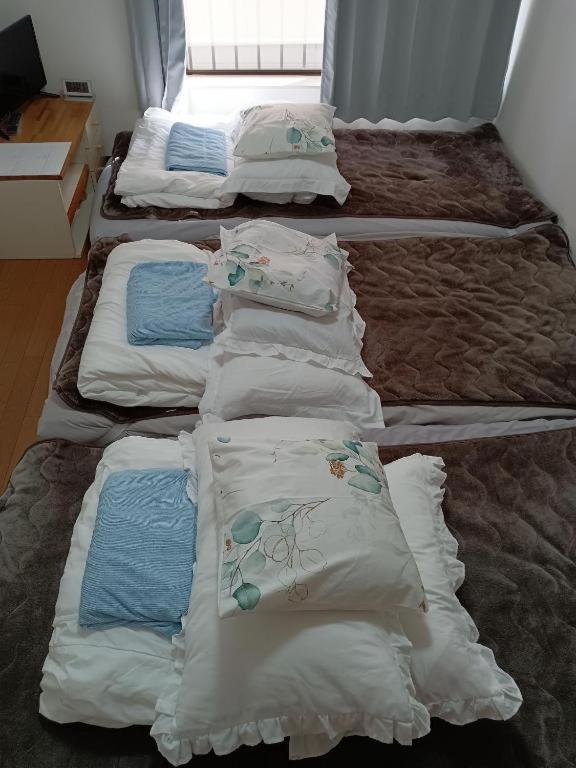 Homestay Tokayo Downtown Tokyo